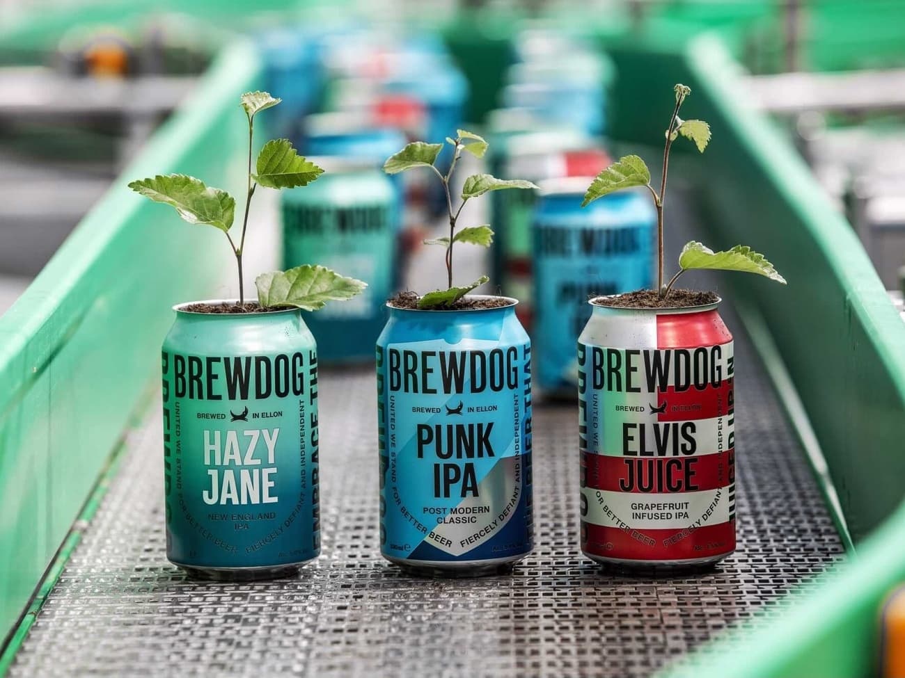 Brewdog's global community crowdfunding and e-commerce platform designed for rapid growth